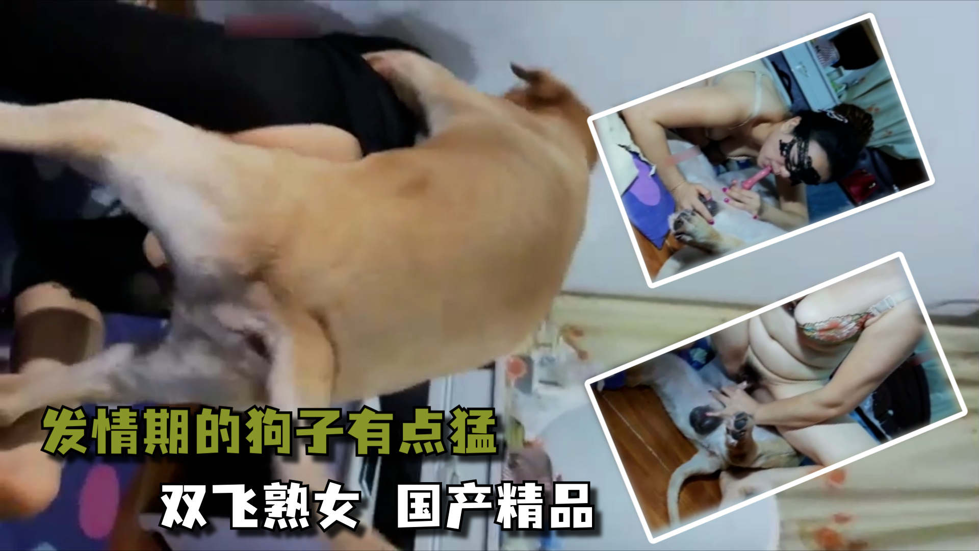 发情期的狗子有点猛，双飞熟女